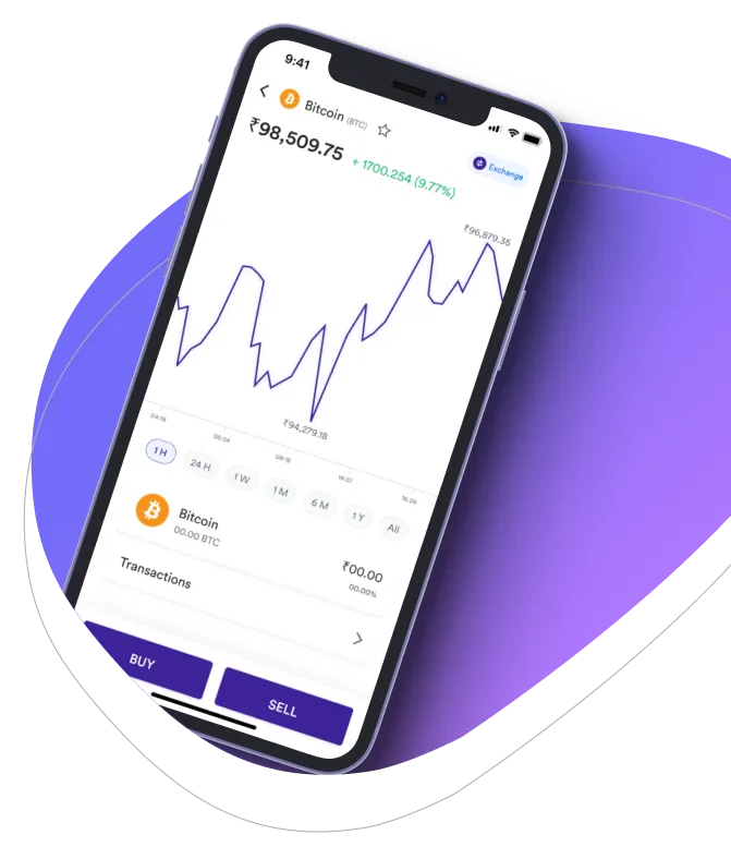 Nexusform Network  - Equipe Nexusform Network 